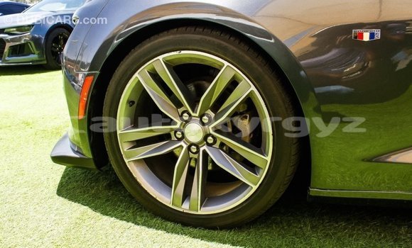 Buy Import Chevrolet Camaro Other Car in Import - Dubai in Batken Buy Import Chevrolet Camaro Other Car in Import - Dubai in Batken