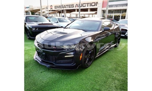 Buy Import Chevrolet Camaro Black Car in Import - Dubai in Batken Buy Import Chevrolet Camaro Black Car in Import - Dubai in Batken