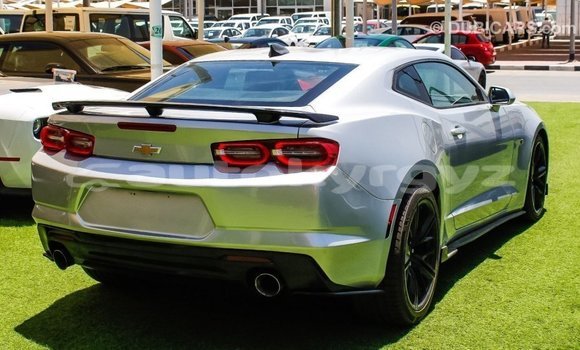 Buy Import Chevrolet Camaro Other Car in Import - Dubai in Batken Buy Import Chevrolet Camaro Other Car in Import - Dubai in Batken