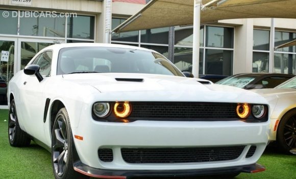 Buy Import Dodge Challenger White Car in Import - Dubai in Batken Buy Import Dodge Challenger White Car in Import - Dubai in Batken