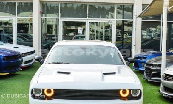 Buy Import Dodge Challenger White Car in Import - Dubai in Batken Buy Import Dodge Challenger White Car in Import - Dubai in Batken
