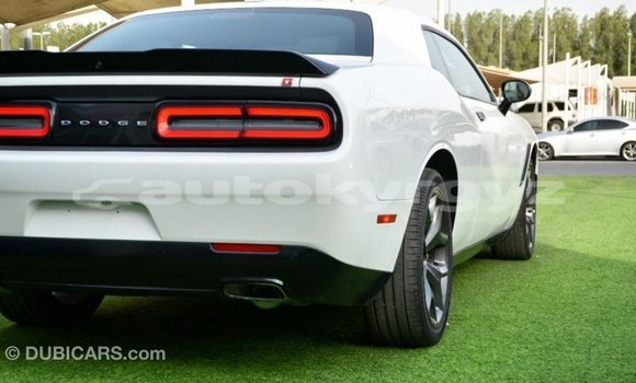 Buy Import Dodge Challenger White Car in Import - Dubai in Batken Buy Import Dodge Challenger White Car in Import - Dubai in Batken