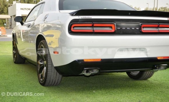 Buy Import Dodge Challenger White Car in Import - Dubai in Batken Buy Import Dodge Challenger White Car in Import - Dubai in Batken
