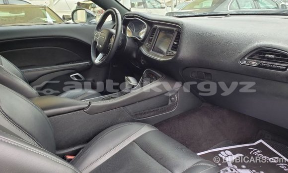 Buy Import Dodge Challenger White Car in Import - Dubai in Batken Buy Import Dodge Challenger White Car in Import - Dubai in Batken