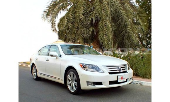 Buy Import Lexus LS White Car in Import - Dubai in Batken Buy Import Lexus LS White Car in Import - Dubai in Batken
