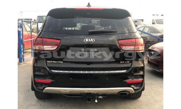 Buy Import Kia Sorento Black Car in Import - Dubai in Batken Buy Import Kia Sorento Black Car in Import - Dubai in Batken