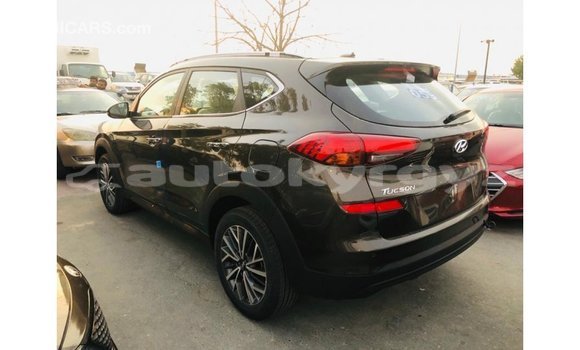 Buy Import Hyundai Tucson Brown Car in Import - Dubai in Batken Buy Import Hyundai Tucson Brown Car in Import - Dubai in Batken