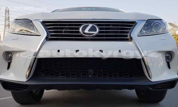 Buy Import Lexus RX 350 White Car in Import - Dubai in Batken Buy Import Lexus RX 350 White Car in Import - Dubai in Batken