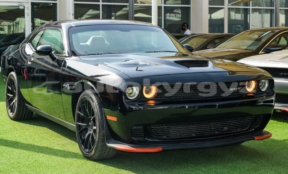 Buy Import Dodge Challenger Black Car in Import - Dubai in Batken