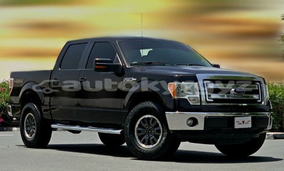 Buy Import Ford AEV AMBULANCE Brown Truck in Import - Dubai in Batken