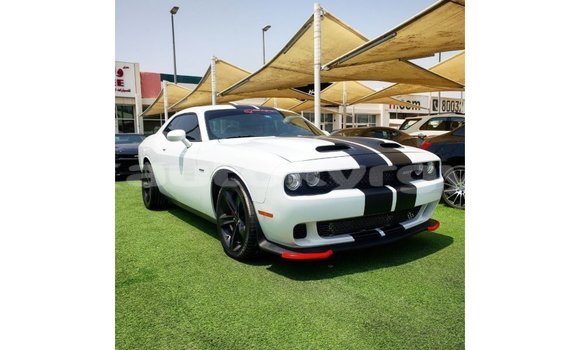 Buy Import Dodge Challenger White Car in Import - Dubai in Batken