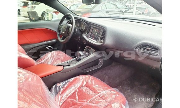 Buy Import Dodge Challenger White Car in Import - Dubai in Batken Buy Import Dodge Challenger White Car in Import - Dubai in Batken
