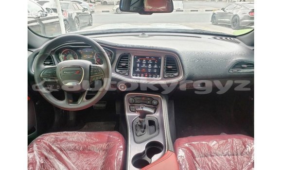 Buy Import Dodge Challenger White Car in Import - Dubai in Batken Buy Import Dodge Challenger White Car in Import - Dubai in Batken