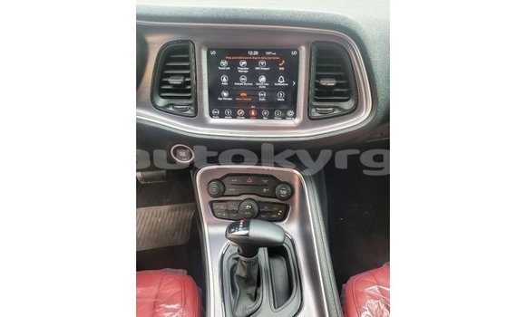 Buy Import Dodge Challenger White Car in Import - Dubai in Batken Buy Import Dodge Challenger White Car in Import - Dubai in Batken