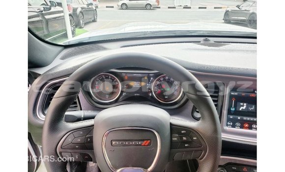 Buy Import Dodge Challenger White Car in Import - Dubai in Batken Buy Import Dodge Challenger White Car in Import - Dubai in Batken
