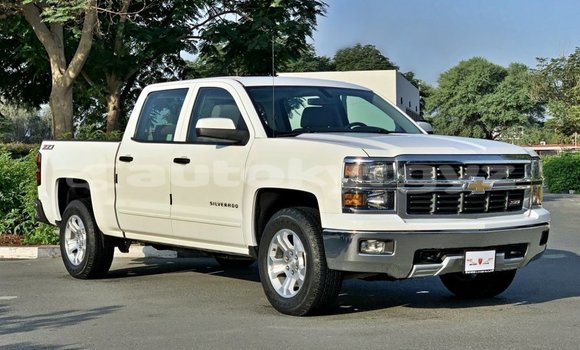 Buy Import Chevrolet Silverado White Car in Import - Dubai in Batken