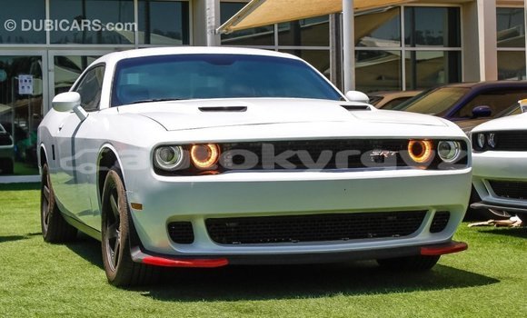 Buy Import Dodge Challenger White Car in Import - Dubai in Batken Buy Import Dodge Challenger White Car in Import - Dubai in Batken
