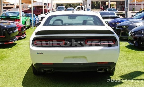 Buy Import Dodge Challenger White Car in Import - Dubai in Batken Buy Import Dodge Challenger White Car in Import - Dubai in Batken
