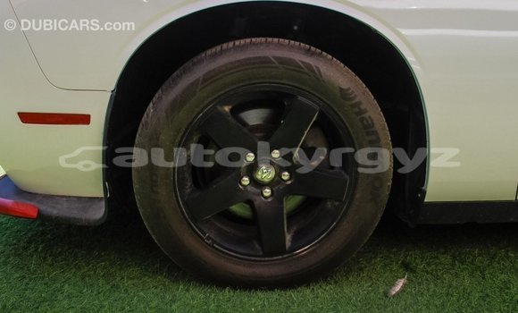 Buy Import Dodge Challenger White Car in Import - Dubai in Batken Buy Import Dodge Challenger White Car in Import - Dubai in Batken