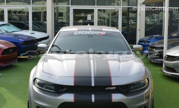 Buy Import Dodge Charger Other Car in Import - Dubai in Batken Buy Import Dodge Charger Other Car in Import - Dubai in Batken