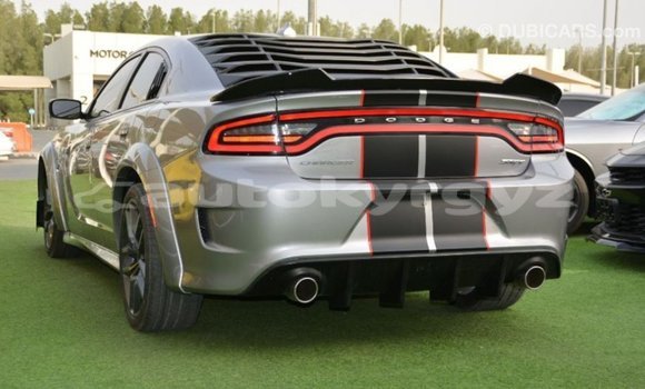 Buy Import Dodge Charger Other Car in Import - Dubai in Batken Buy Import Dodge Charger Other Car in Import - Dubai in Batken