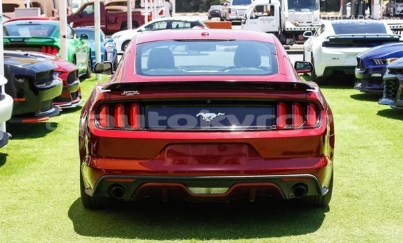 Buy Import Ford Mustang Red Car in Import - Dubai in Batken Buy Import Ford Mustang Red Car in Import - Dubai in Batken