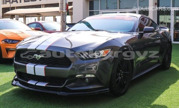 Buy Import Ford Mustang Other Car in Import - Dubai in Batken Buy Import Ford Mustang Other Car in Import - Dubai in Batken