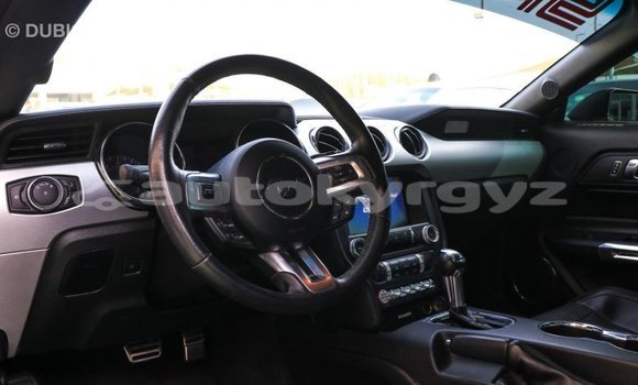 Buy Import Ford Mustang Other Car in Import - Dubai in Batken Buy Import Ford Mustang Other Car in Import - Dubai in Batken