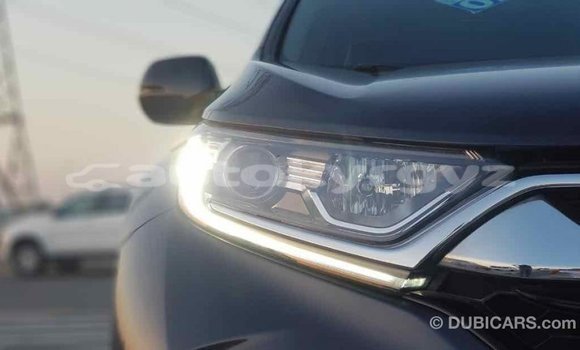 Buy Import Honda C Other Bike in Import - Dubai in Batken Buy Import Honda C Other Bike in Import - Dubai in Batken