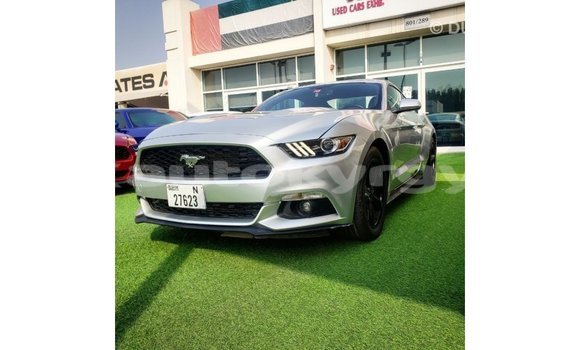 Buy Import Ford Mustang Other Car in Import - Dubai in Batken Buy Import Ford Mustang Other Car in Import - Dubai in Batken