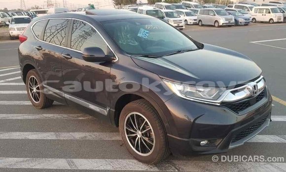 Buy Import Honda C Other Bike in Import - Dubai in Batken Buy Import Honda C Other Bike in Import - Dubai in Batken