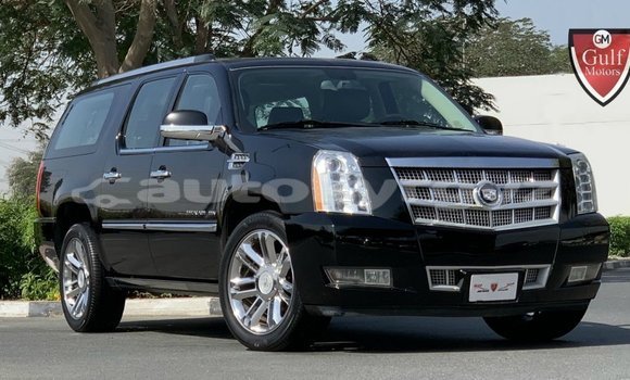 Buy Import Cadillac Escalade Black Car in Import - Dubai in Batken