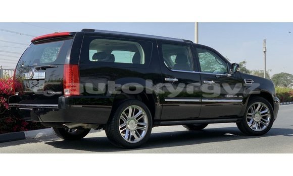 Buy Import Cadillac Escalade Black Car in Import - Dubai in Batken Buy Import Cadillac Escalade Black Car in Import - Dubai in Batken