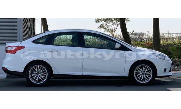 Buy Import Ford Focus White Car in Import - Dubai in Batken Buy Import Ford Focus White Car in Import - Dubai in Batken