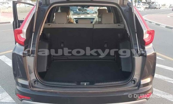 Buy Import Honda C Other Bike in Import - Dubai in Batken Buy Import Honda C Other Bike in Import - Dubai in Batken