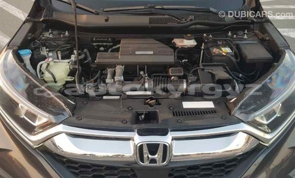 Buy Import Honda C Other Bike in Import - Dubai in Batken