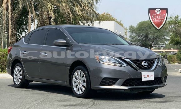 Buy Import Nissan Sentra Other Car in Import - Dubai in Batken