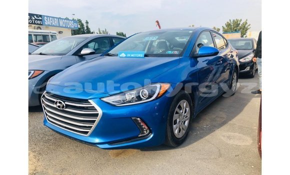 Buy Import Hyundai Elantra Blue Car in Import - Dubai in Batken