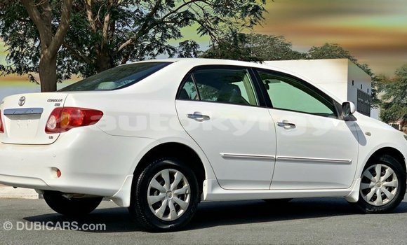 Buy Import Toyota Corolla White Car in Import - Dubai in Batken Buy Import Toyota Corolla White Car in Import - Dubai in Batken