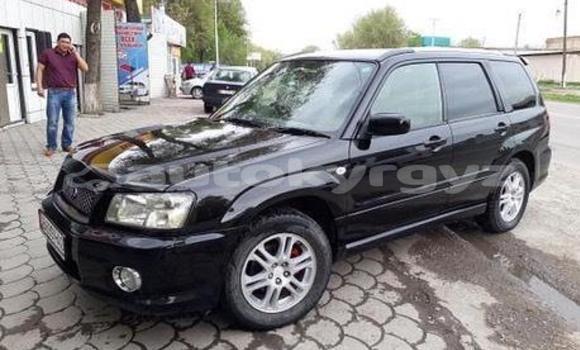 Buy Used Subaru Forester Black Car in Bishkek in Bishkek Buy Used Subaru Forester Black Car in Bishkek in Bishkek