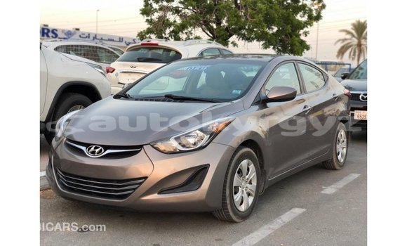 Buy Import Hyundai Elantra Brown Car in Import - Dubai in Batken Buy Import Hyundai Elantra Brown Car in Import - Dubai in Batken