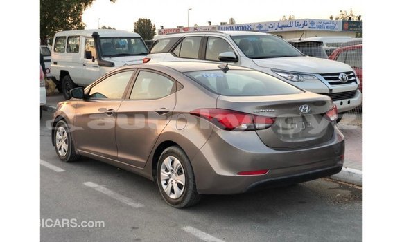 Buy Import Hyundai Elantra Brown Car in Import - Dubai in Batken Buy Import Hyundai Elantra Brown Car in Import - Dubai in Batken