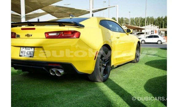 Buy Import Chevrolet Camaro Other Car in Import - Dubai in Batken Buy Import Chevrolet Camaro Other Car in Import - Dubai in Batken