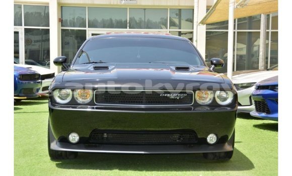 Buy Import Dodge Challenger Black Car in Import - Dubai in Batken