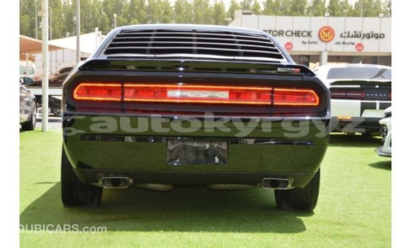 Buy Import Dodge Challenger Black Car in Import - Dubai in Batken Buy Import Dodge Challenger Black Car in Import - Dubai in Batken