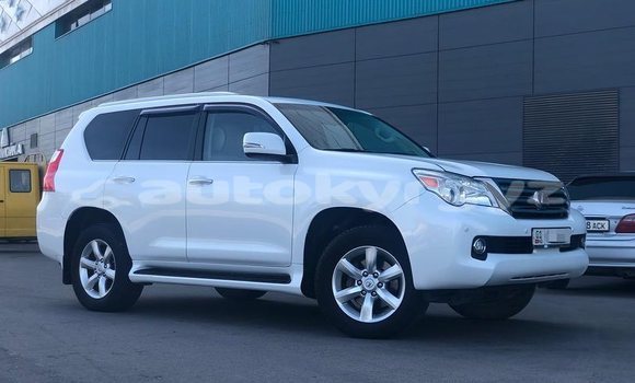 Buy Used Lexus GX White Car in Bishkek in Bishkek Buy Used Lexus GX White Car in Bishkek in Bishkek