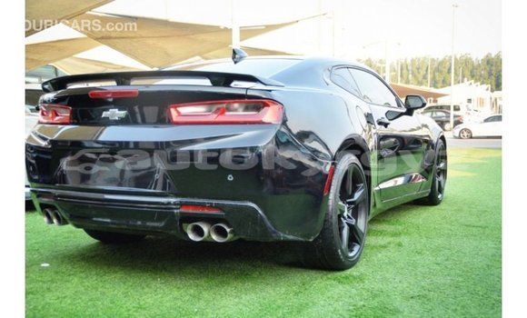 Buy Import Chevrolet Camaro Black Car in Import - Dubai in Batken Buy Import Chevrolet Camaro Black Car in Import - Dubai in Batken