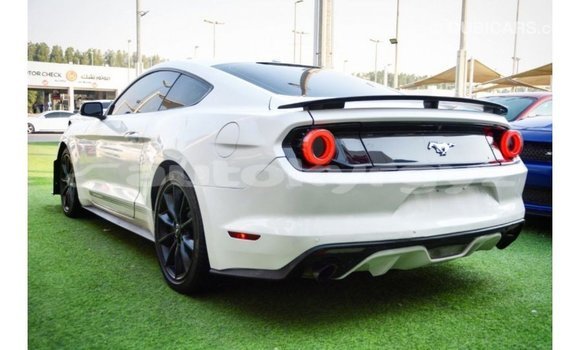 Buy Import Ford Mustang White Car in Import - Dubai in Batken Buy Import Ford Mustang White Car in Import - Dubai in Batken