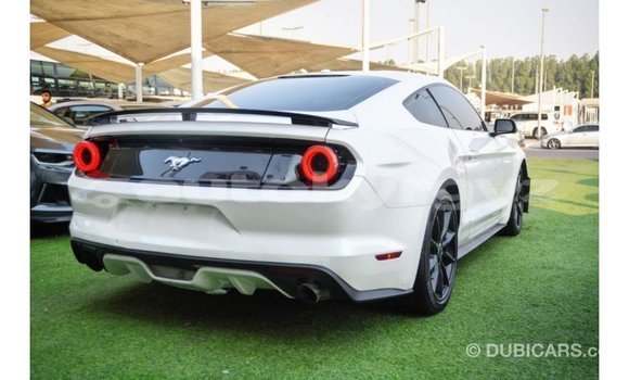 Buy Import Ford Mustang White Car in Import - Dubai in Batken Buy Import Ford Mustang White Car in Import - Dubai in Batken