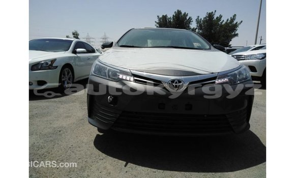 Buy Import Toyota Corolla Other Car in Import - Dubai in Batken Buy Import Toyota Corolla Other Car in Import - Dubai in Batken